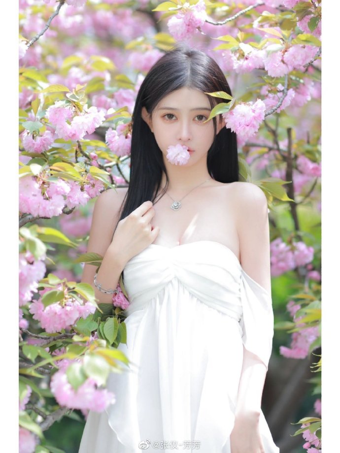 蝙蝠侠：侠影之谜 封面